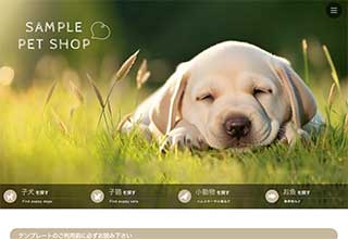 tp_petshop1_beige